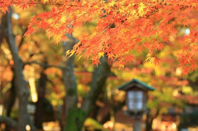 Kanazawa Guest House Nana Экстерьер фото